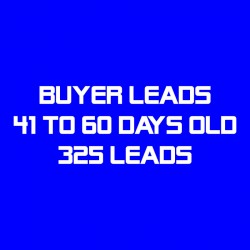 Buyer Leads-41-60 Days Old-325 Leads