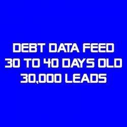 Debt Data Feed-30-40 Days Old-30K Leads
