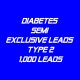 Diabetes Semi-Exclusive Leads Type 2